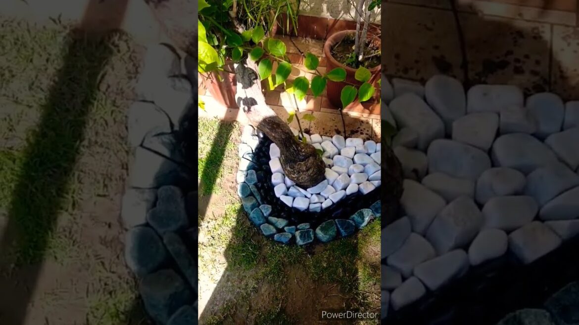 Best Garden Design Ideas