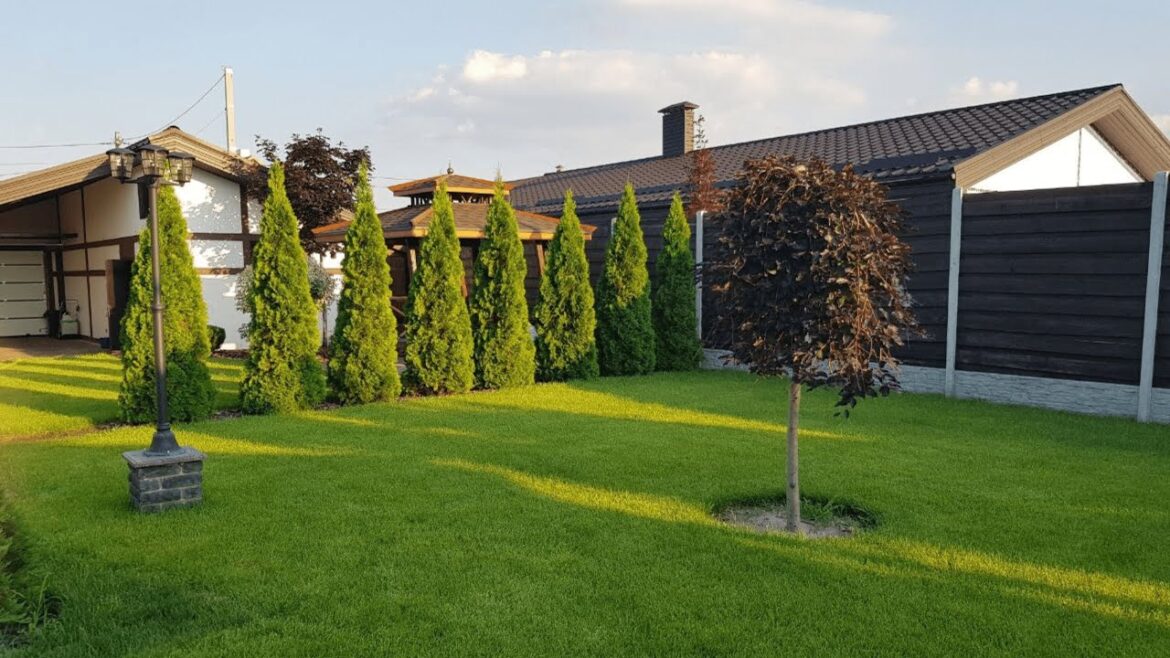 Landscape disign ideas. Low-Maintenance Garden Landscaping Ideas for Busy Homeowners.