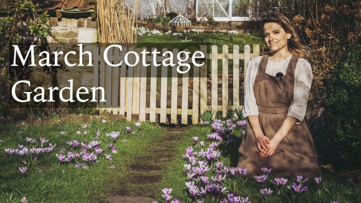 March Cottage Garden Tour – Thousands of Crocuses, Hellebores and Seed Sowing March Cottage Garden Tour - Thousands of Crocuses, Hellebores and Seed Sowing