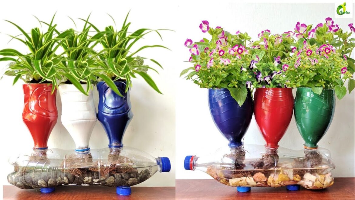 Table Top Self Watering System/Recycled Plastic Bottle For Planting/Garden Ideas /ORGANIC GARDEN