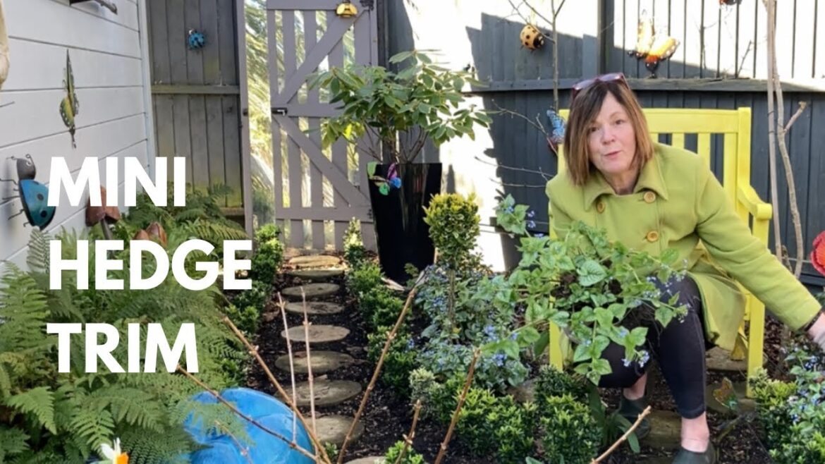 Quick Jobs For Easter Series - No.2 of 6 - First Mini Hedge Haircut ✂️