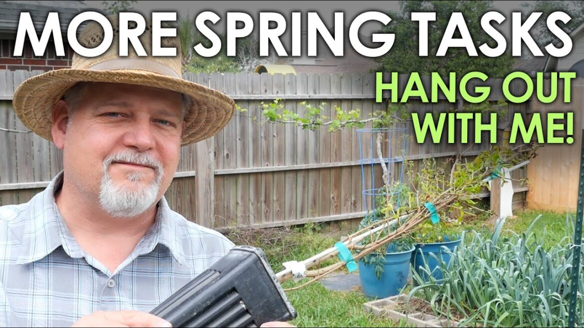 More Spring Gardening Tasks || Black Gumbo