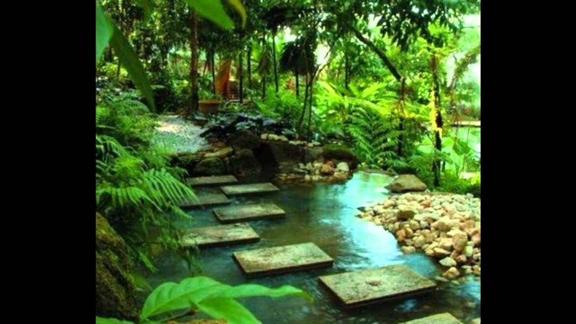 Small tropical garden ideas