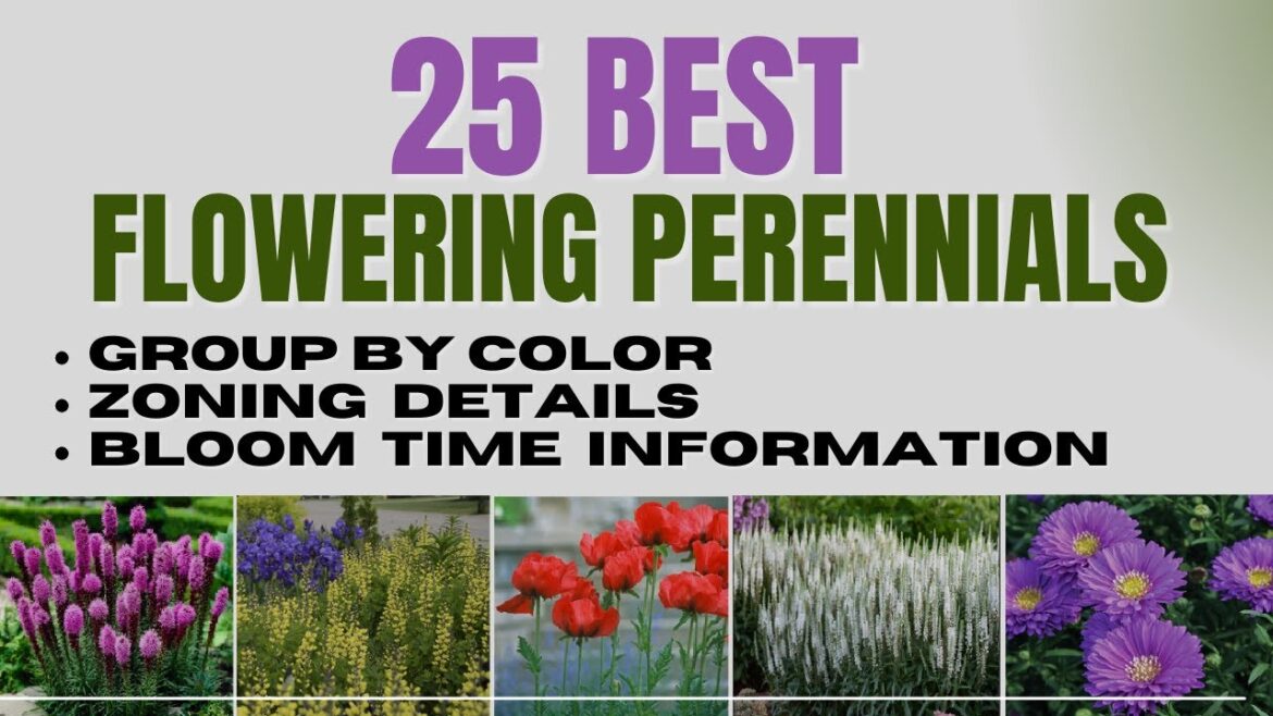 25 Best Flowering Perennials | Long Blooming Perennials Explained By Color | Garden Design Ideas 25 Best Flowering Perennials | Long Blooming Perennials Explained By Color | Garden Design Ideas