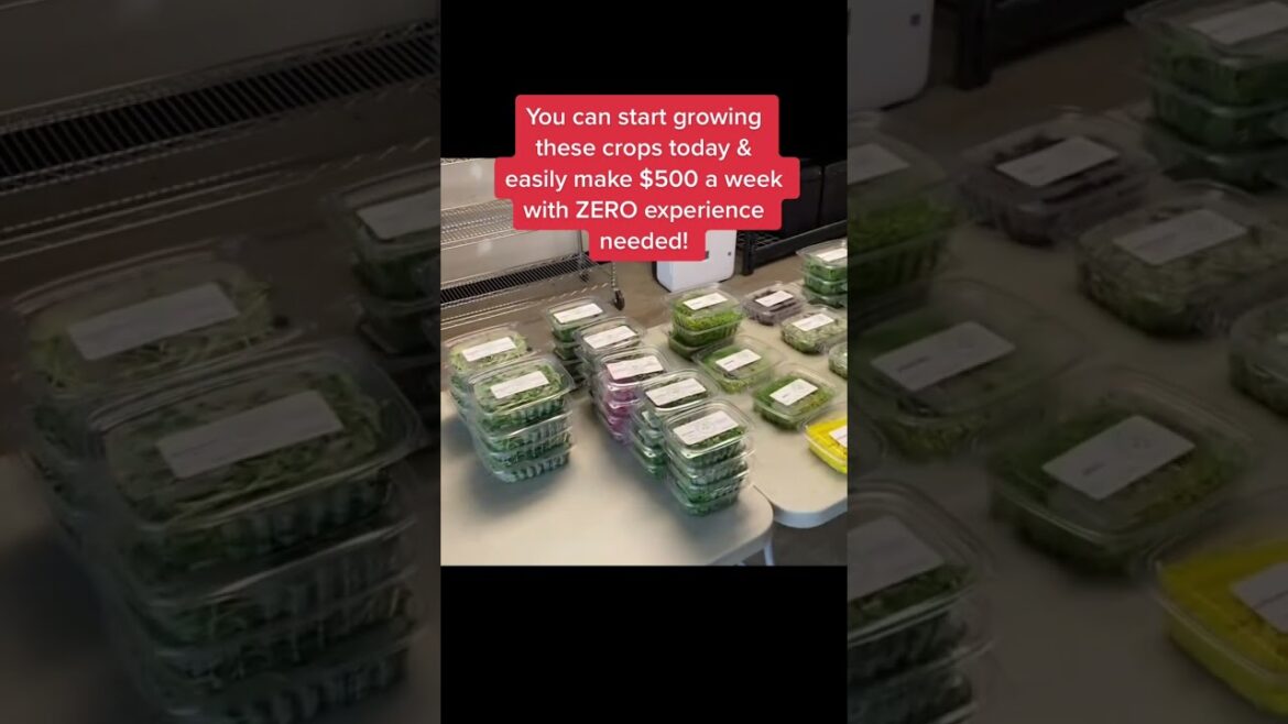 Are you wanting to get into farming？ #farming