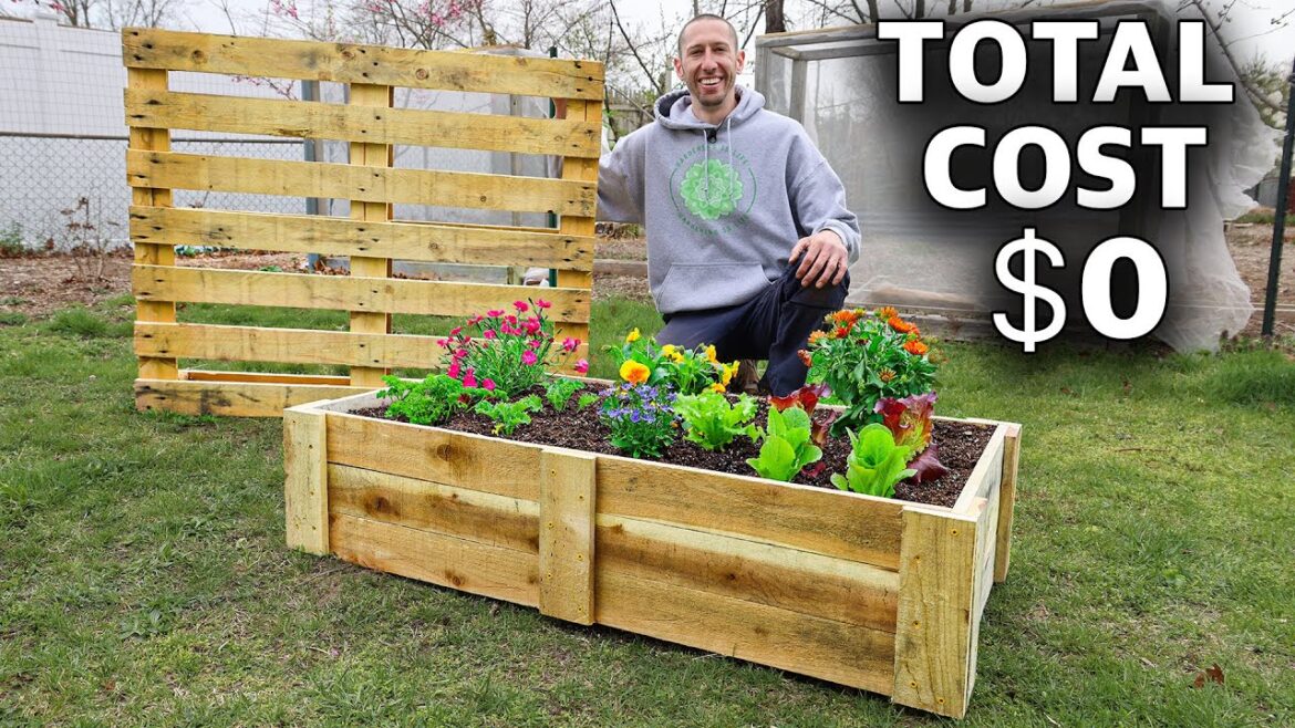 How to Build a Mini Raised Bed Out of ONE PALLET!