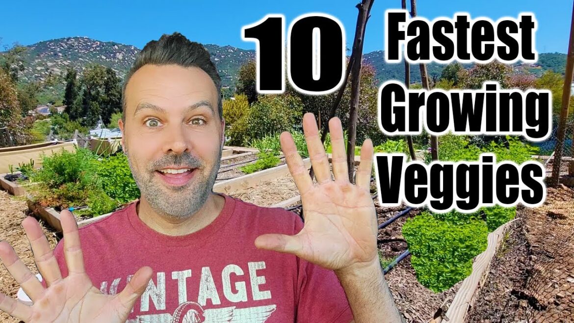 California Garden TV: 10 Fastest Growing Crops for Your Garden 10 Fastest Growing Crops for Your Garden