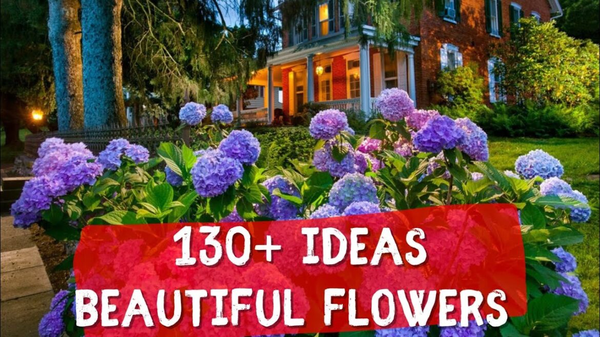 MOST BEAUTIFUL FLOWER GARDEN DESIGN 🌺 Ideas for gardening