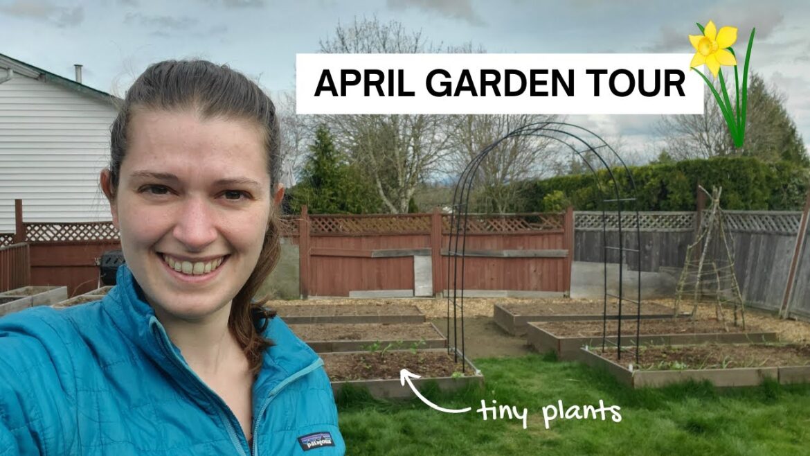 APRIL GARDEN TOUR – permaculture cottage garden in progress APRIL GARDEN TOUR - permaculture cottage garden *in progress*