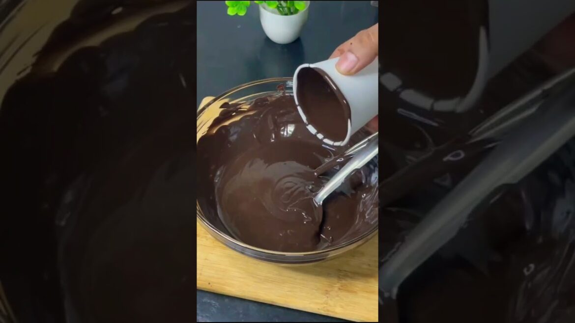 Edible Chocolate Plants | Chocolate Plant | #shortsfeed #shorts #ytshorts Edible Chocolate Plants | Chocolate Plant | #shortsfeed #shorts #ytshorts