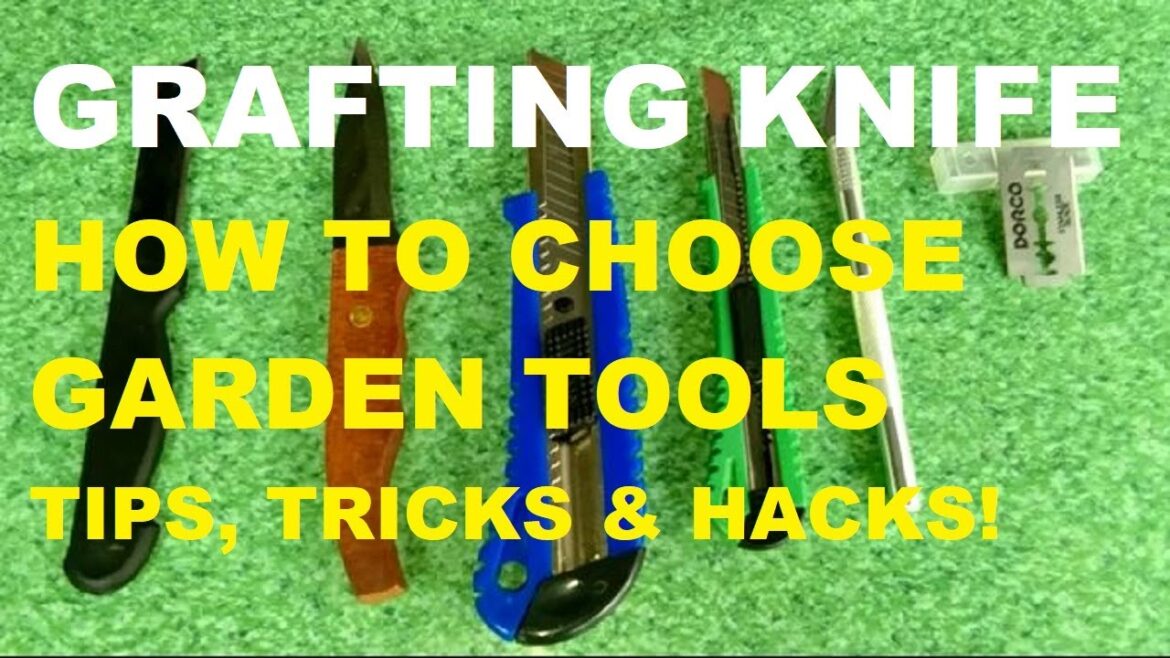 GRAFTING KNIFE | GARDEN TOOLS | HOW TO CHOOSE GRAFTING KNIFE | GARDENING PHILIPPINES
