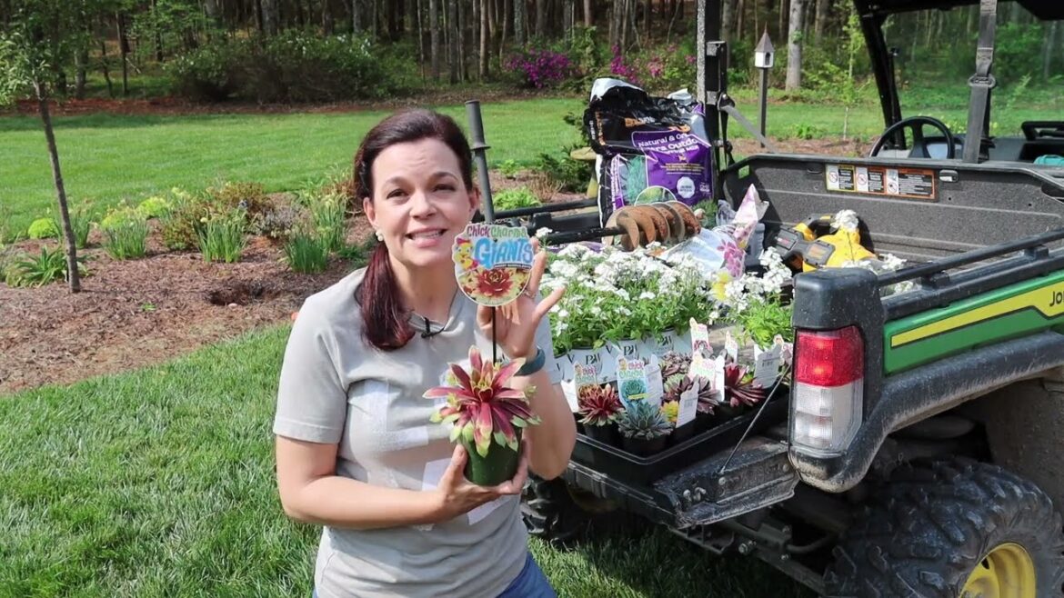 Adding Unique Perennial Succulents & a New Annual to the Garden | Gardening with Creekside