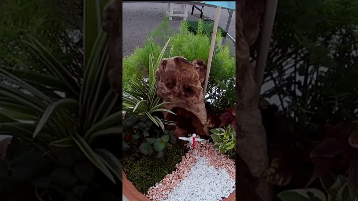 Tray Garden Decoration Ideas | Tray Garden | #traygardendecorationideas #shorts