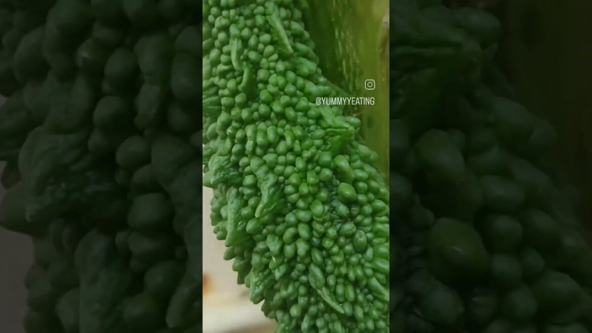 Harvesting vegetables from home kitchen garden | harvesting bitter gourd #shorts |Yummy eating