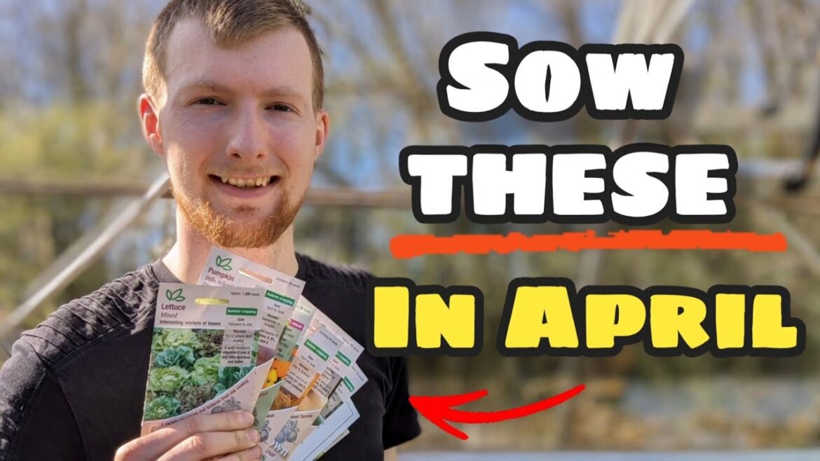 Sow these 10 crops NOW in April for an abundant vegetable garden! Sow these 10 crops NOW in April for an abundant vegetable garden!