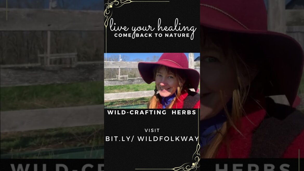 How To Learn the Names of Medicinal Herbs : Herbalism for Beginners, quick tips to remember use How To Learn the Names of Medicinal Herbs : Herbalism for Beginners, quick tips to remember use