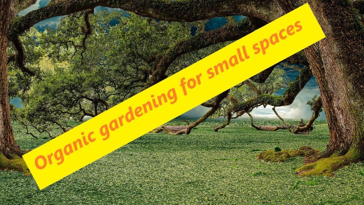 Organic gardening for small spaces