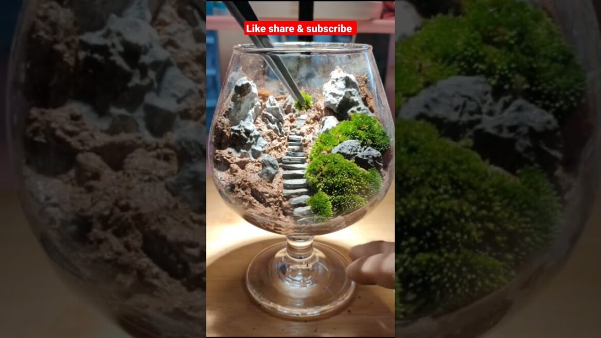 5-minute crafts | moss terrarium #terrarium #shorts #life hacks