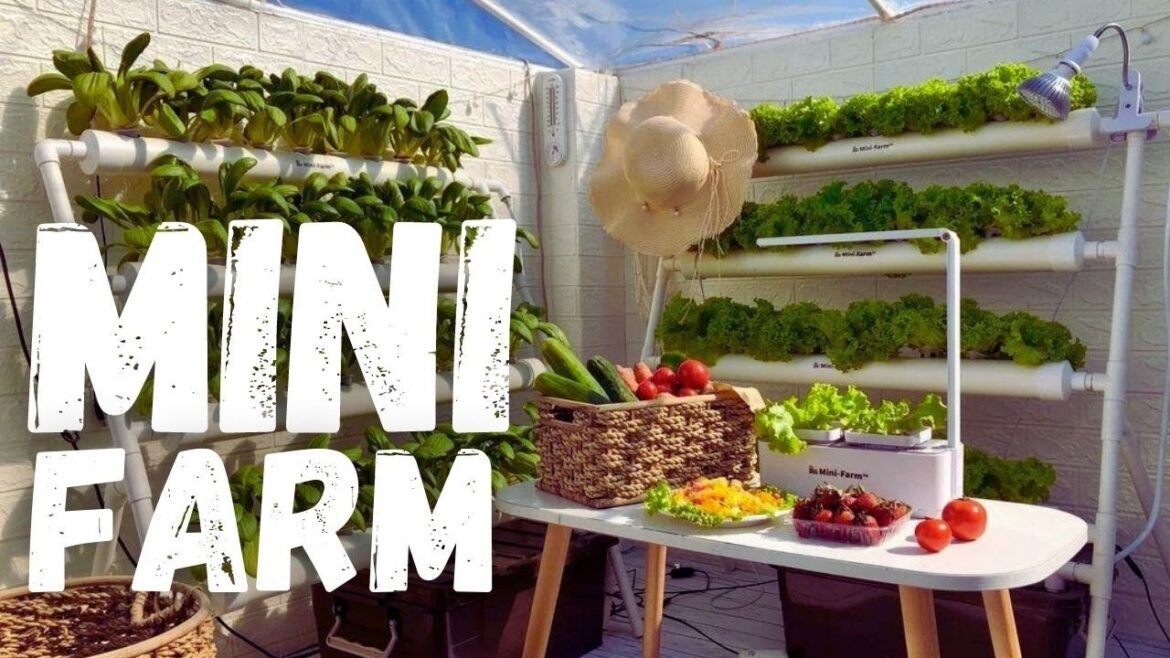 15 Mini Farm Ideas for Small Spaces - Grow Your Own Food at Home! | Tractor-Farmer