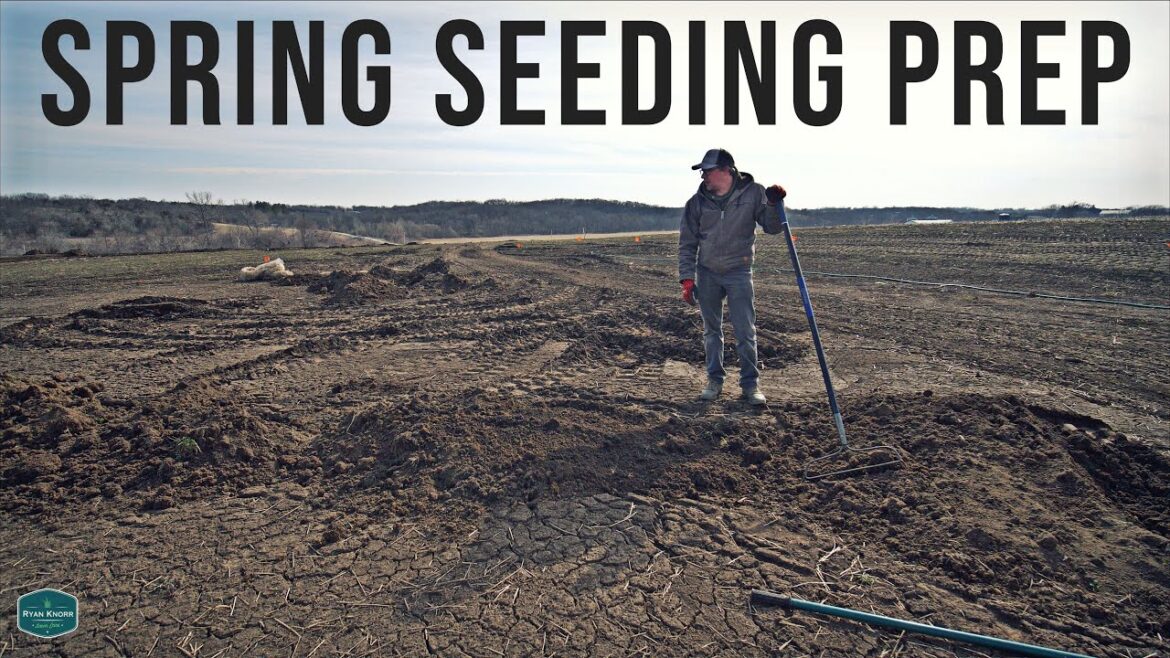 Preparing For Spring Lawn Seeding + Pre Emergent + Liquid Fertilizer Application