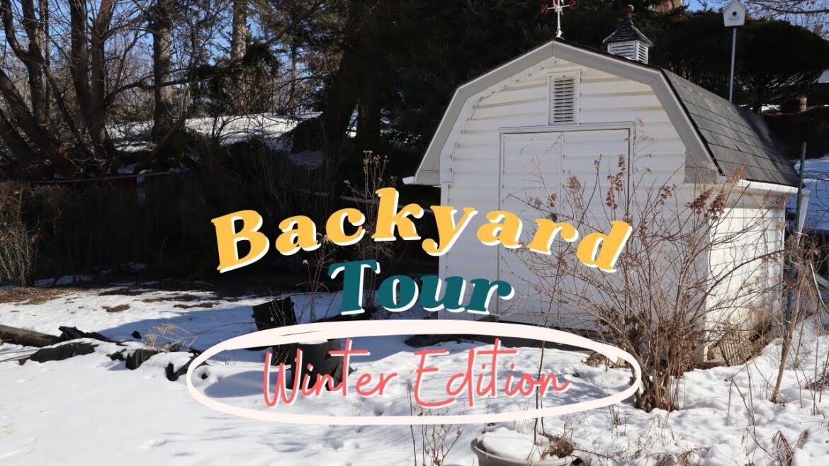 My Small Backyard Garden Tour – Winter 2023 (Zone 6b) | hellotinashe My Small Backyard Garden Tour - Winter 2023 (Zone 6b) | hellotinashe