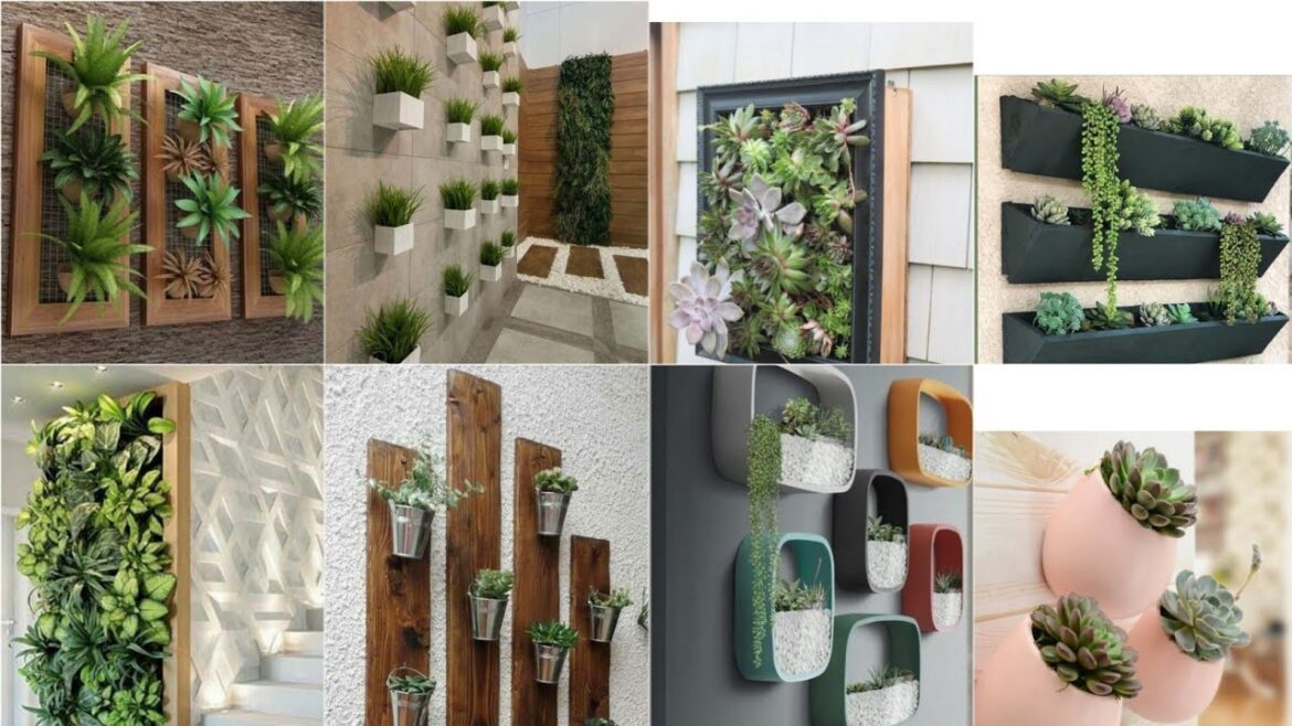 Wall garden ideas|Vertical Garden Ideas #2023|#vertical#garden