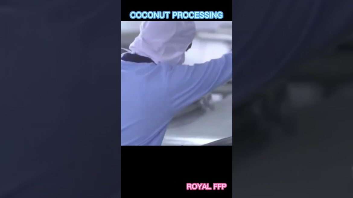 Incredible😮 Coconut Processing-Coconut products #shorts Incredible😮 Coconut Processing-Coconut products #shorts