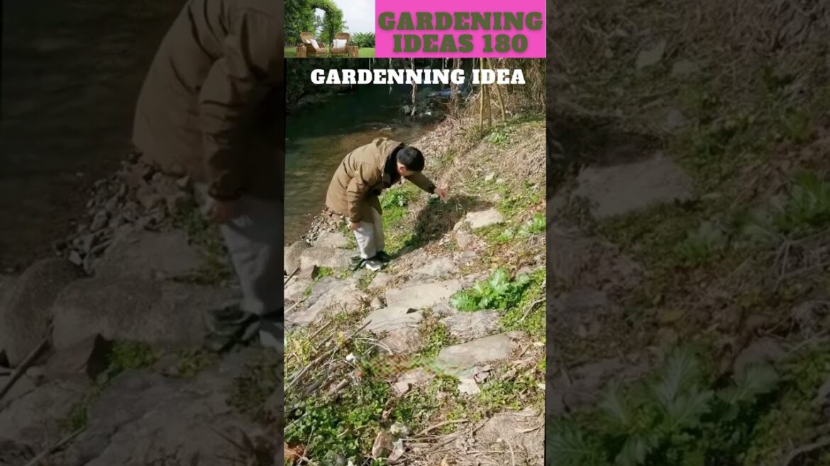 arrangement of flower for corner  😆🌴🌱🌿😇/gardening ideas nonstop  😇…