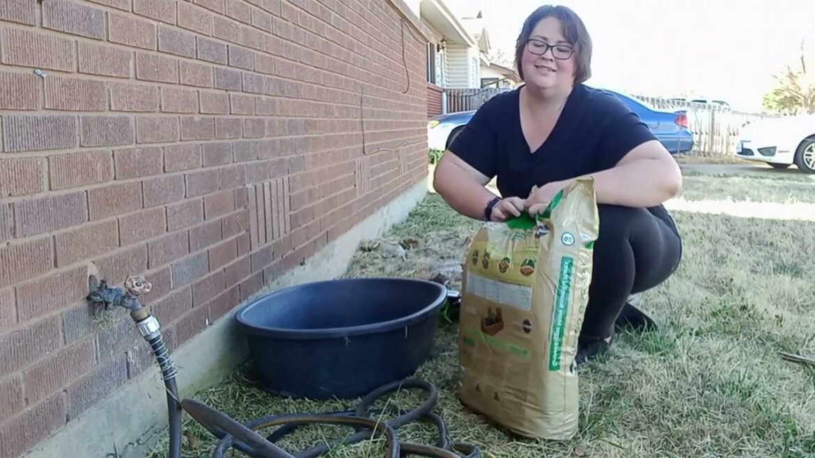 Day 2 VEDA. Planting strawberries and making a pretty welcome pot!!