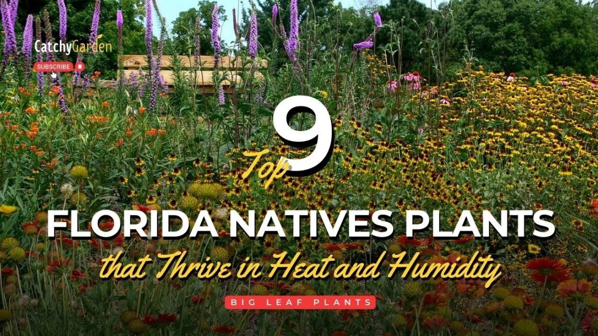 Top 9 Florida Natives Plants That Thrive in Heat and Humidity 🌸🌻👍 // Gardening Ideas