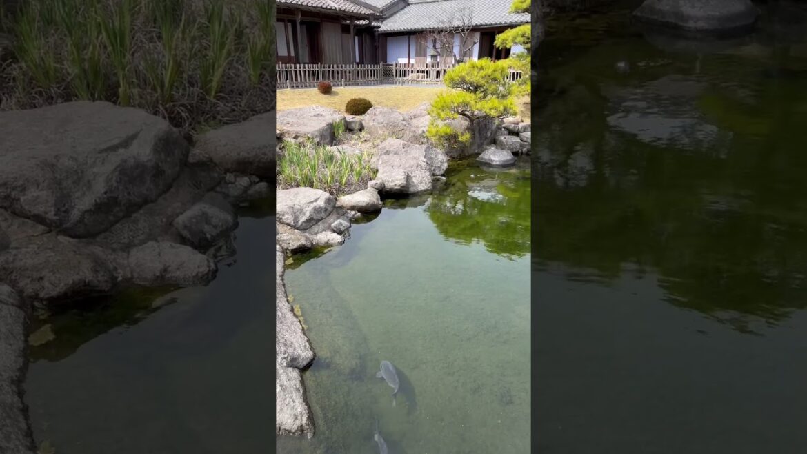 Sengan-en Gardens: A Visual Feast for Nature Lovers in Japan