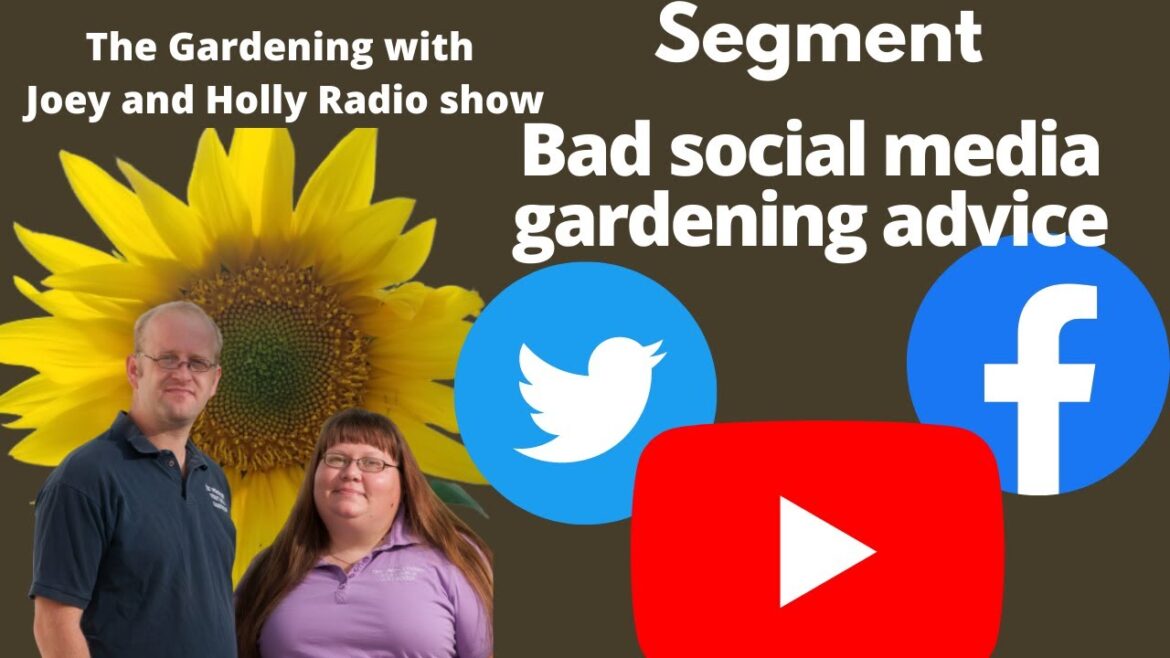 Seg 2 of S7E4 Bad internet garden tips corrected – The Gardenig with Joey & Holly Radio Show Seg 2 of S7E4 Bad internet garden tips corrected - The Gardenig with Joey & Holly Radio Show