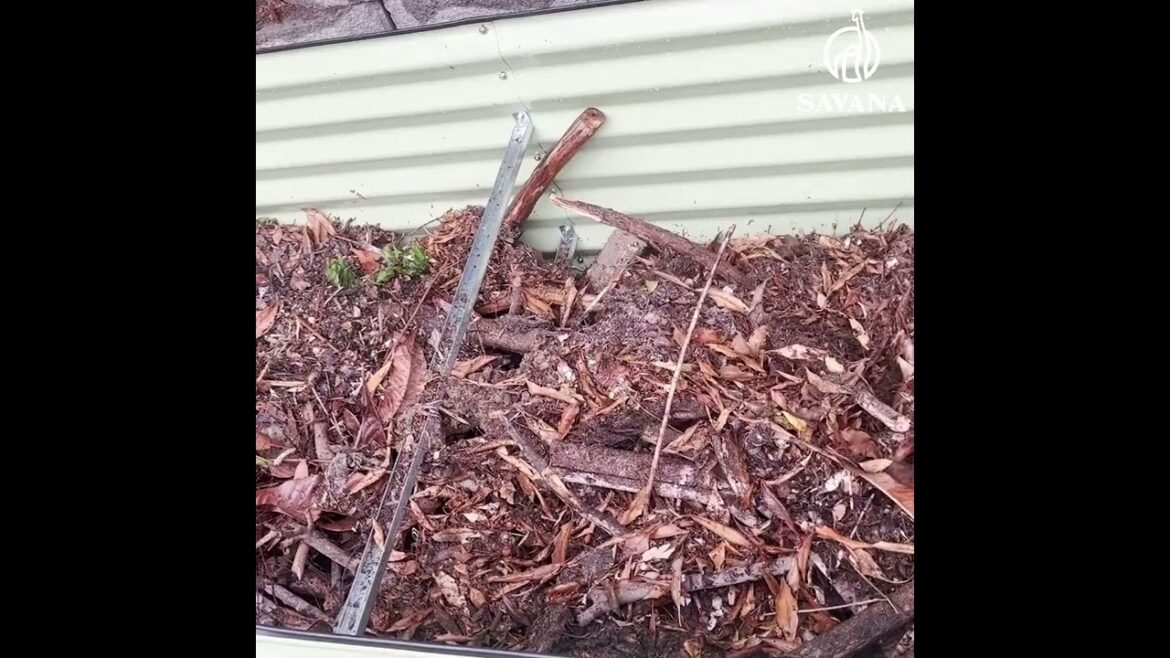 The Ultimate Raised Garden Bed Guide: Plant, Grow, and Savor Your Own Fresh Vegetables Today!