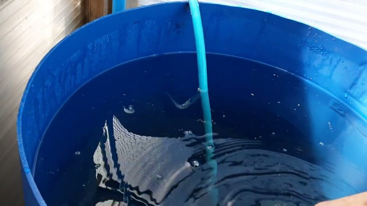 Jobs For April On Our Allotment's 🌻 Spring Vegetable Harvest 🌻Asparagus Parsnips Carrots & Broccoli