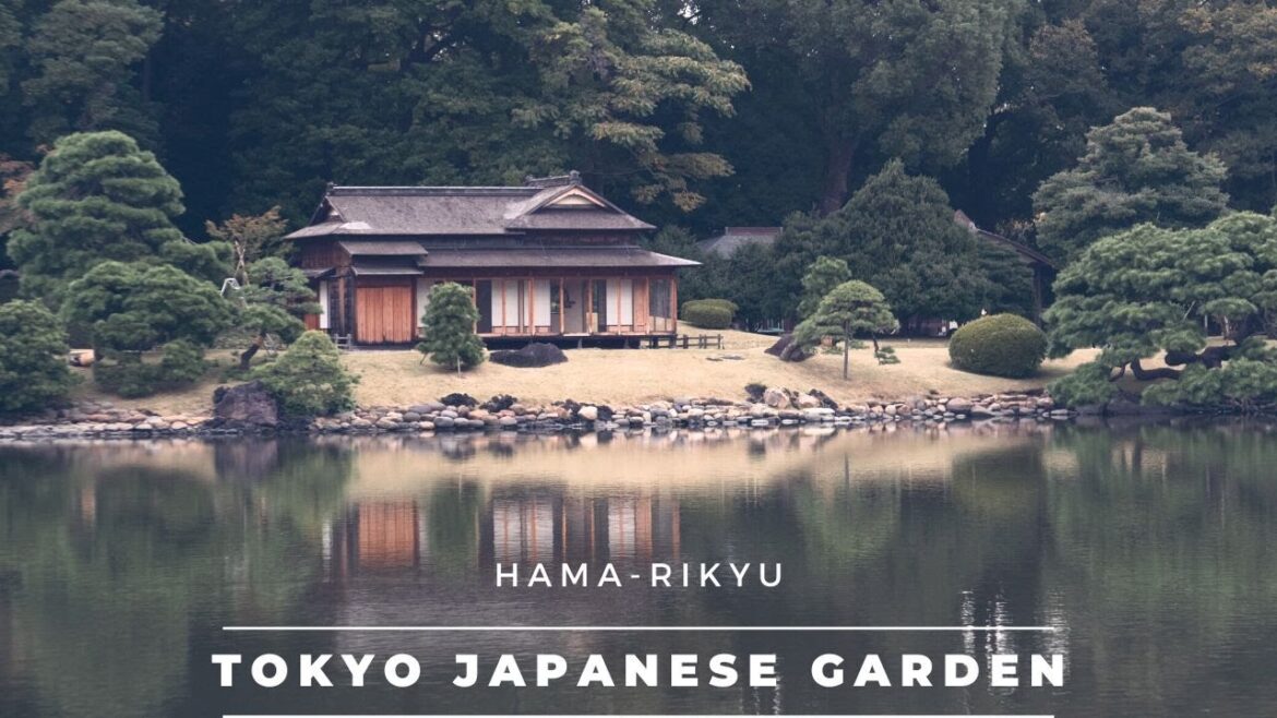 Hama-Rikyu Japanese Garden (Tokyo, Japan) | A Strolling Garden Amongst the Skyscrapers | 浜離宮恩賜庭園 Hama-Rikyu Japanese Garden (Tokyo, Japan) | A Strolling Garden Amongst the Skyscrapers | 浜離宮恩賜庭園