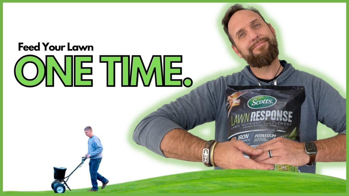 Only ONE FERTILIZER application per YEAR. How many times should i fertilize my lawn? Only ONE FERTILIZER application per YEAR. How many times should i fertilize my lawn?