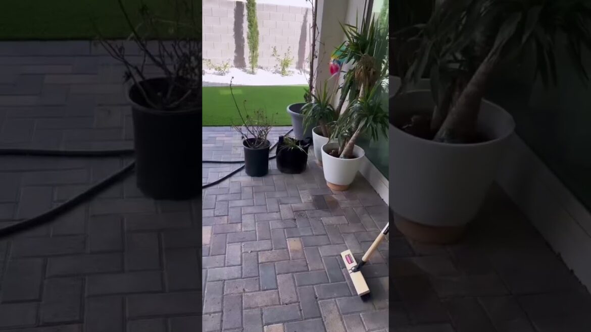 π¦ π±π©π»βπΎ Preparing For Spring Garden 2023I cleaned my seed bucket/garden supplies. #shorts π¦ π±π©π»βπΎ Preparing For Spring Garden 2023I cleaned my seed bucket/garden supplies. #shorts