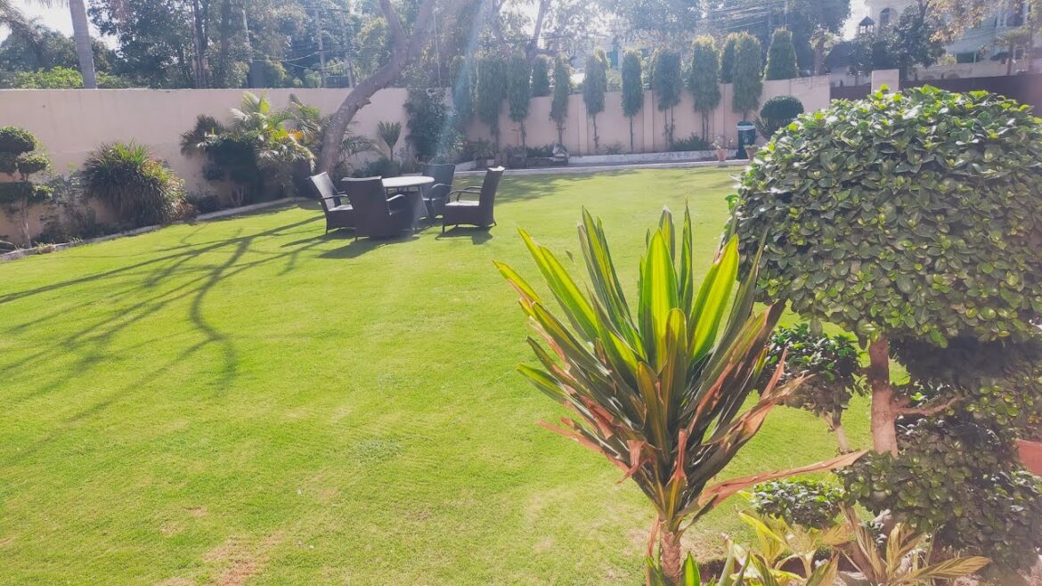 Best Garden Design Ideas part 2 |