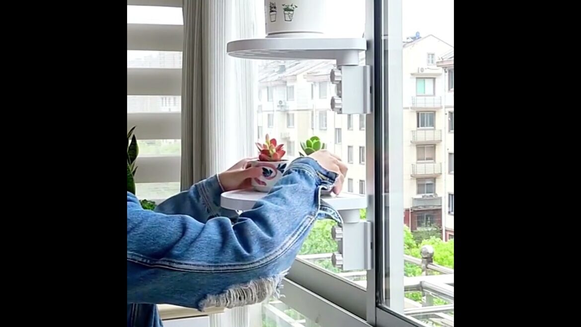Window clip flower stand ๐ Useful Appliance Gadget #shorts #gadgets #gardening Window clip flower stand ๐ Useful Appliance Gadget #shorts #gadgets #gardening