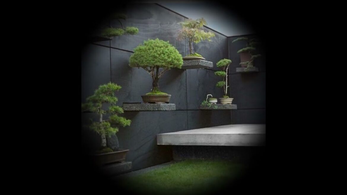 Building outdoor plantation garden design on walls Building outdoor plantation garden design on walls