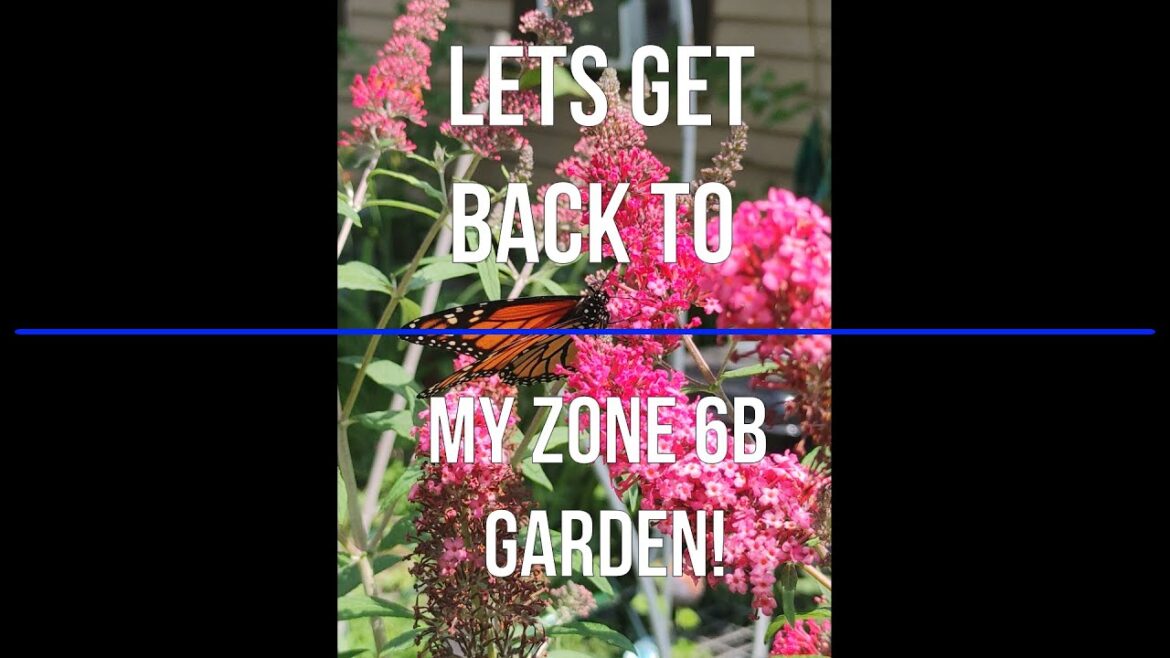 Seed Haul | Garden Plans Seed Haul | Garden Plans