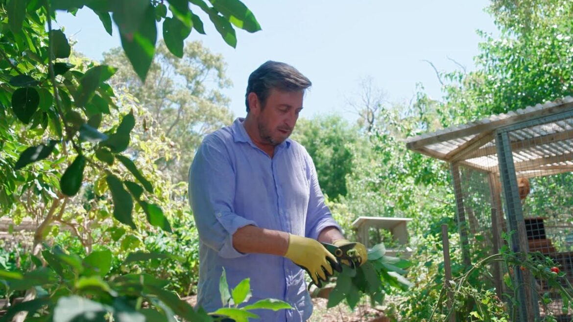 The Garden Gurus - Growing Innovation Step 2 to a Healthy Edible Garden and Citrus