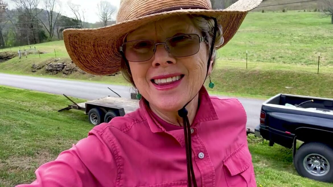 Kaye Kittrell: Planting EASTERN WHITE PINES! (I almost missed it again!) Planting EASTERN WHITE PINES! (I almost missed it again!)