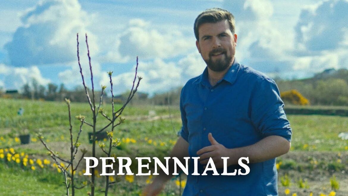 Huw Richards: Filling Our Permaculture Project With Perennials for Multiple Uses | Huw’s Garden Diaries Filling Our Permaculture Project With Perennials for Multiple Uses | Huw's Garden Diaries