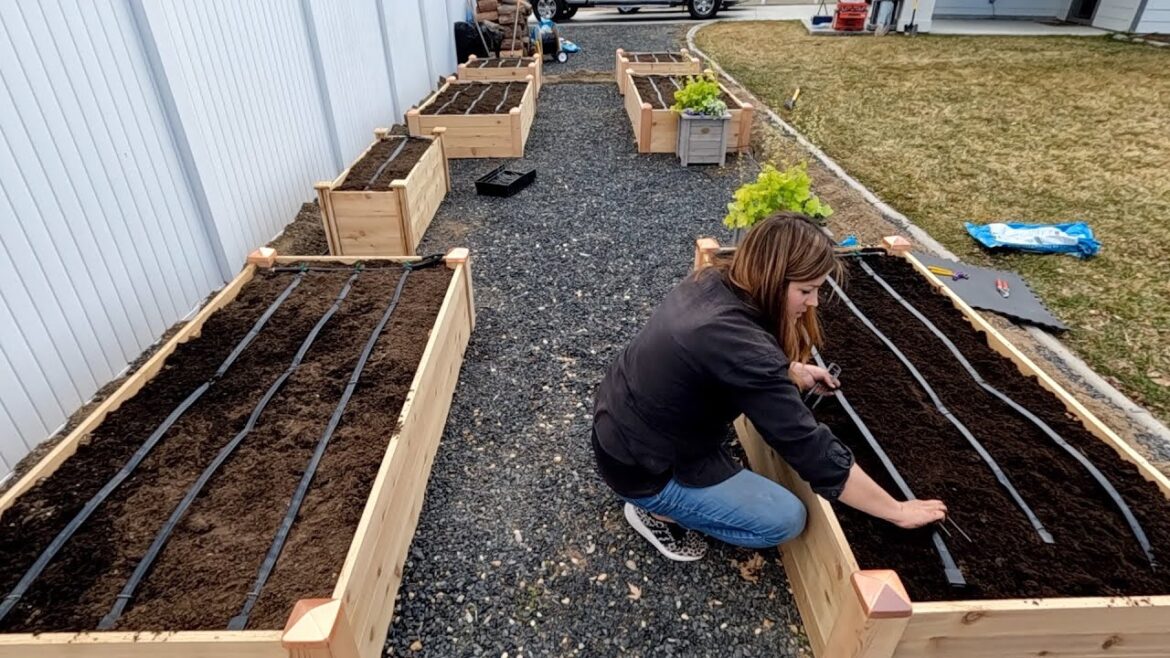 Garden Answer: Setting Up a Complete Drip System for Raised Beds from a Hose Faucet! 💦🌿 // Garden Answer Setting Up a Complete Drip System for Raised Beds from a Hose Faucet! 💦🌿 // Garden Answer