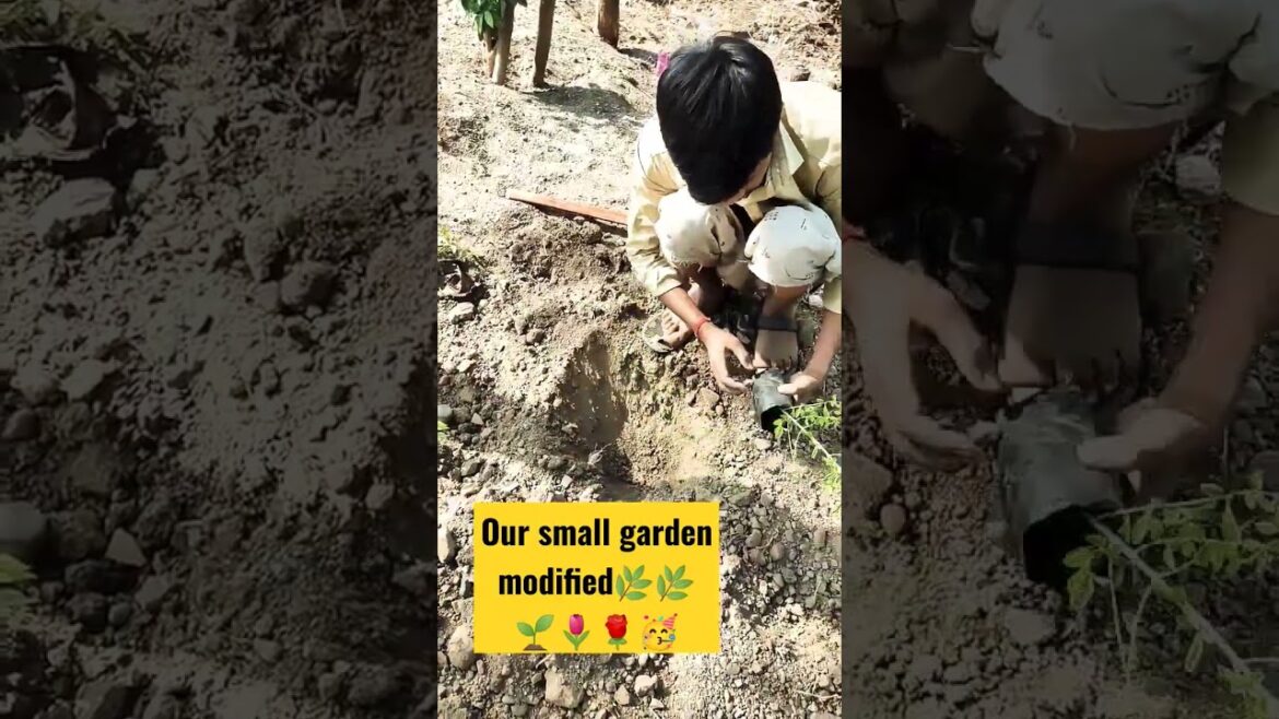 Homegarden🏡 बनाना शुरू 🥳🌹🌷🌱🌿|home garden ideas|#homemade #homegarden #ytshorts
