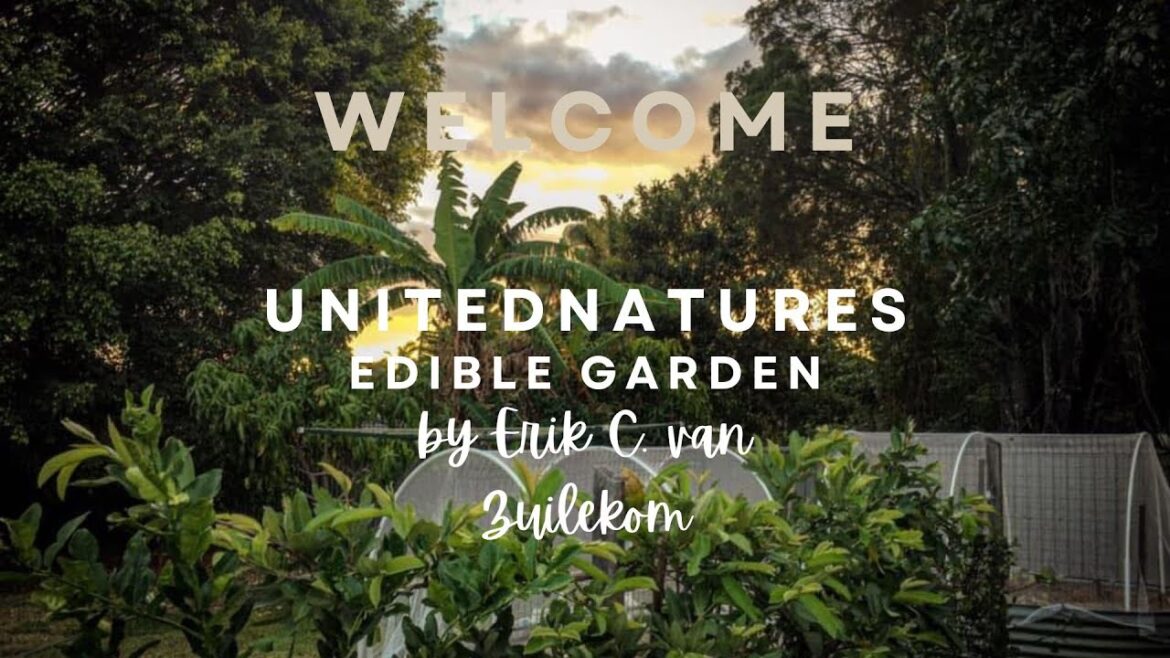 Introduction to UnitedNatures Edible Garden Introduction to UnitedNatures Edible Garden