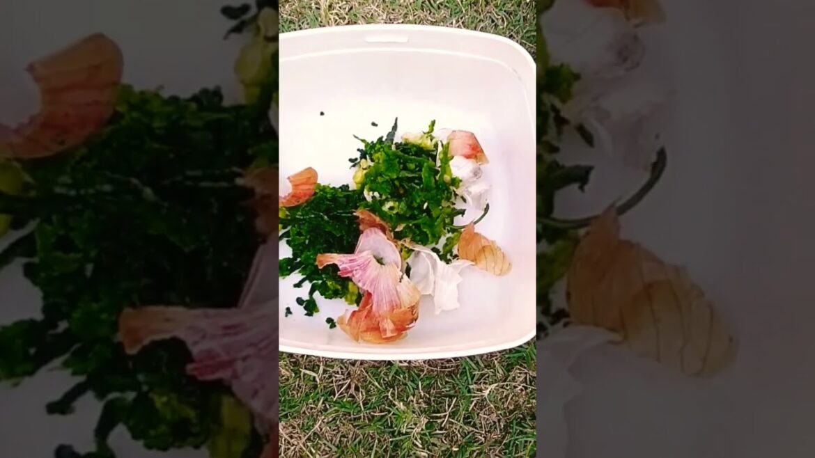 How to make pesticide for plants from vegetables peels #organic #pesticides #gardening #plants