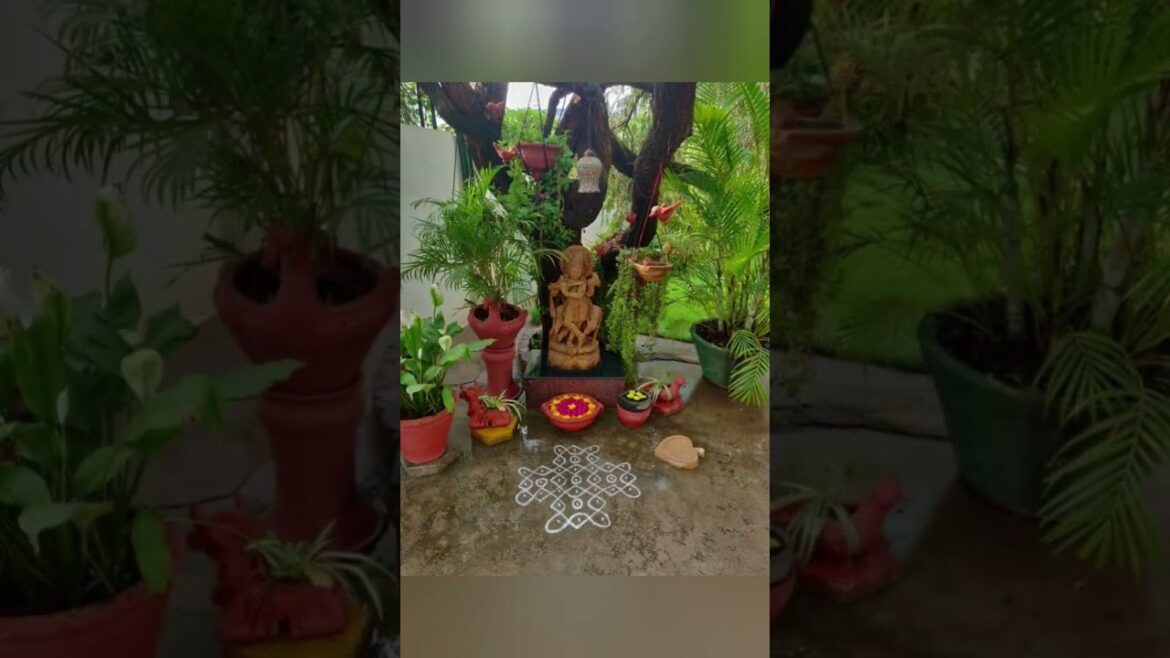 Top 10 Landscaping Ideas Top 10 Landscaping Ideas