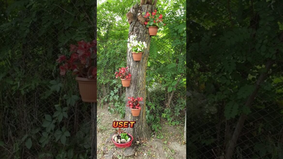 Stump Garden Ideas #shorts #trending #garden